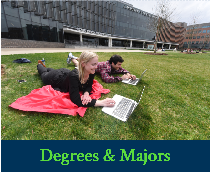 Degrees and Majors Image Link