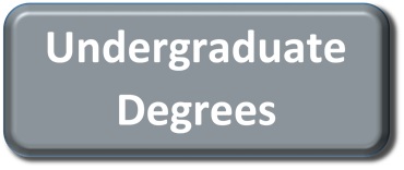 Undergraduate Degrees